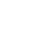 Globe icon