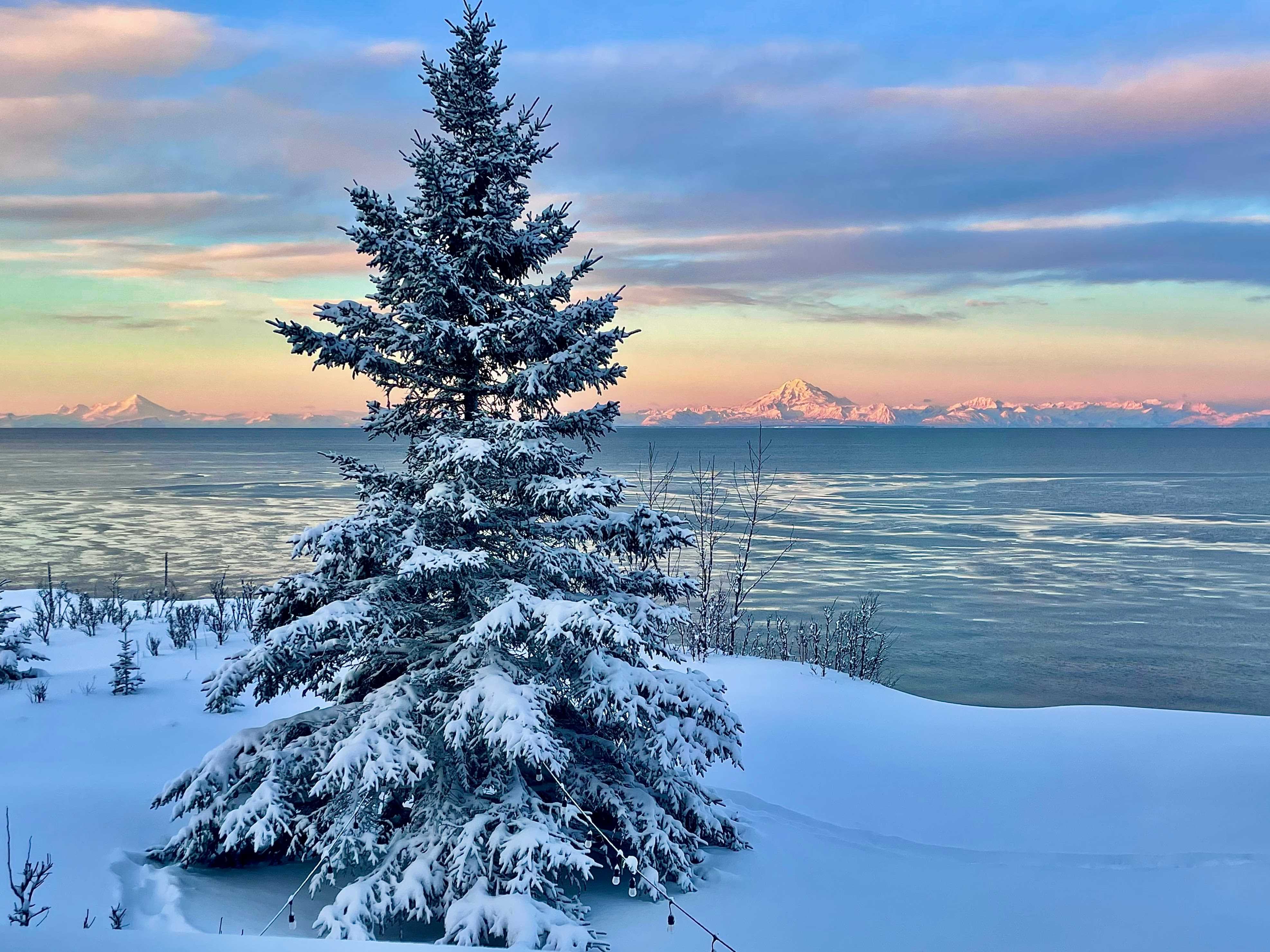 Cook Inlet